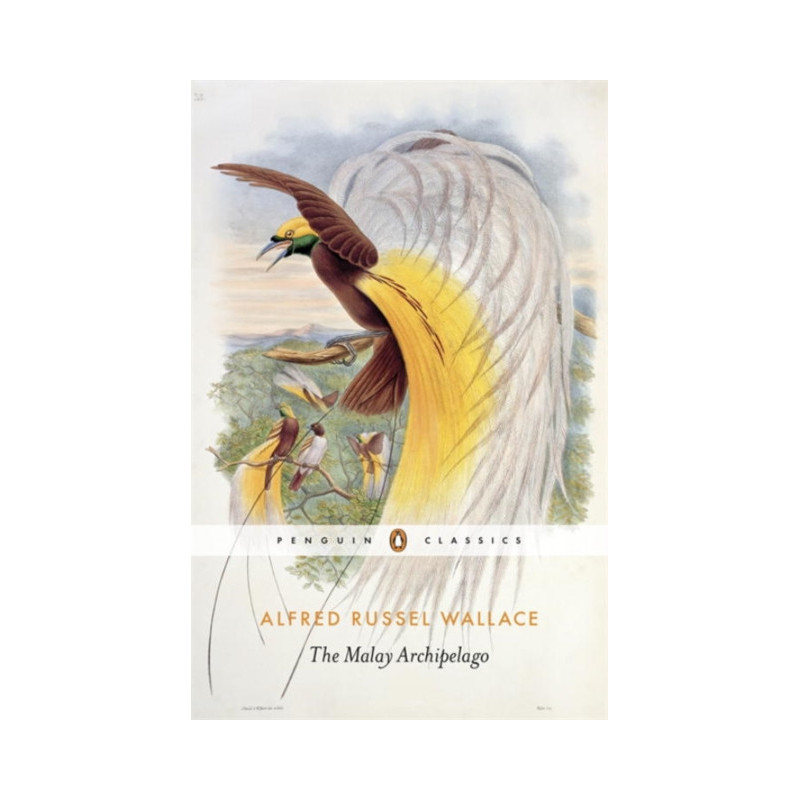 The Malay Archipelago