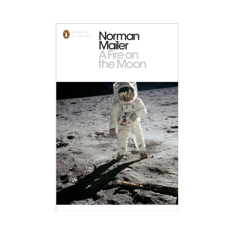 A Fire on the Moon