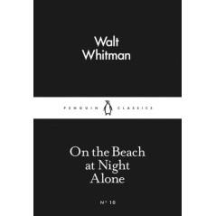 On the Beach at Night Alone