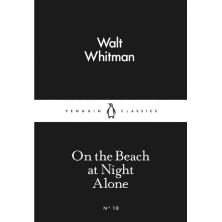 On the Beach at Night Alone