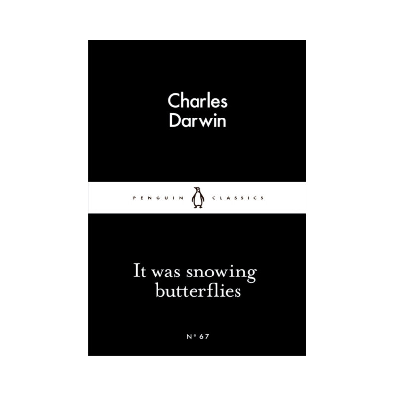 It Was Snowing Butterflies