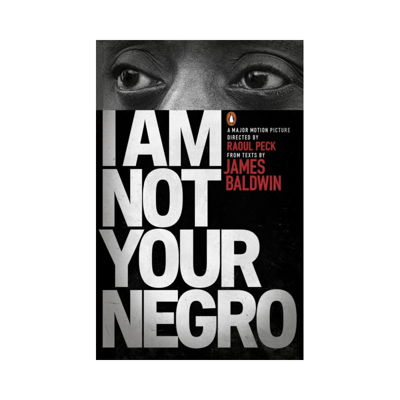 I Am Not Your Negro