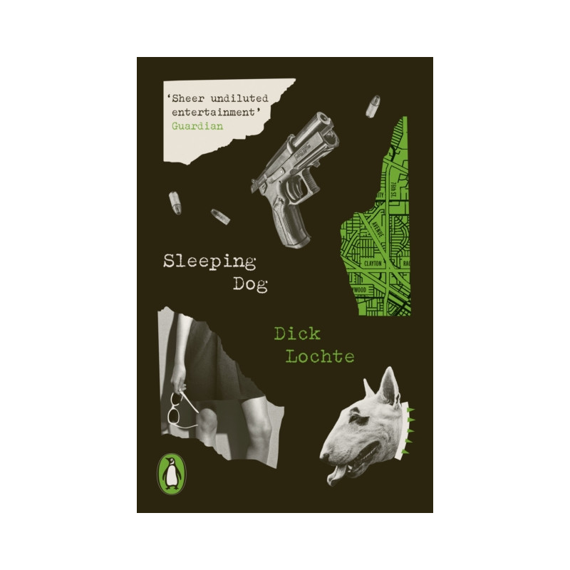 Sleeping Dog