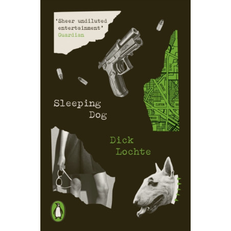 Sleeping Dog