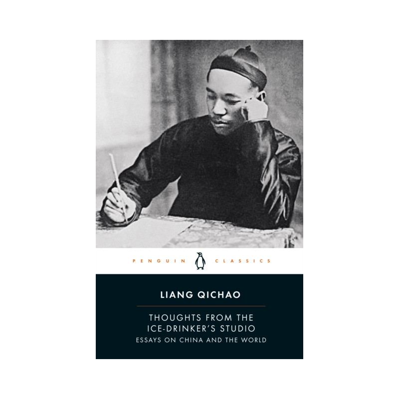 Thoughts From the Ice-Drinker's Studio : Essays on China and the World