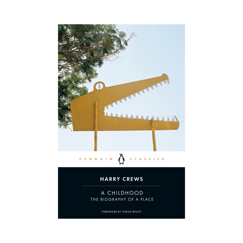 A Childhood : The Biography of a Place