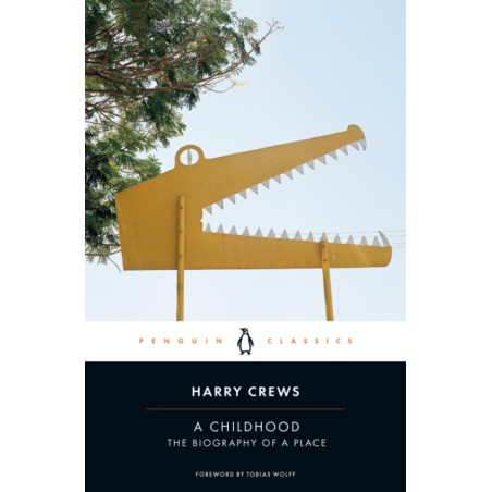 A Childhood : The Biography of a Place