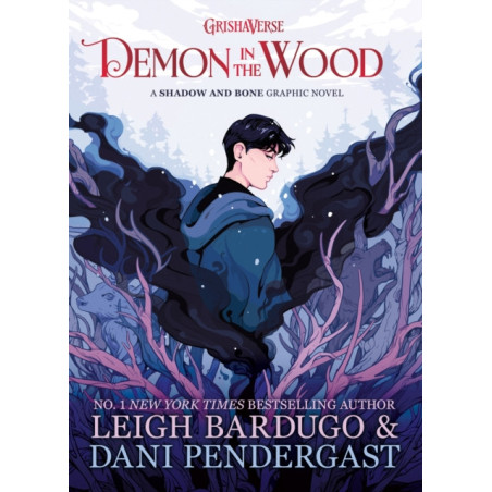 Demon in the Wood : A Shadow and Bone Graphic Novel