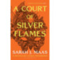 A Court of Silver Flames : The latest book in the GLOBALLY BESTSELLING, SENSATIONAL series A Court of Silver Flames : The latest book in the GLOBALLY BESTSELLING, SENSATIONAL series