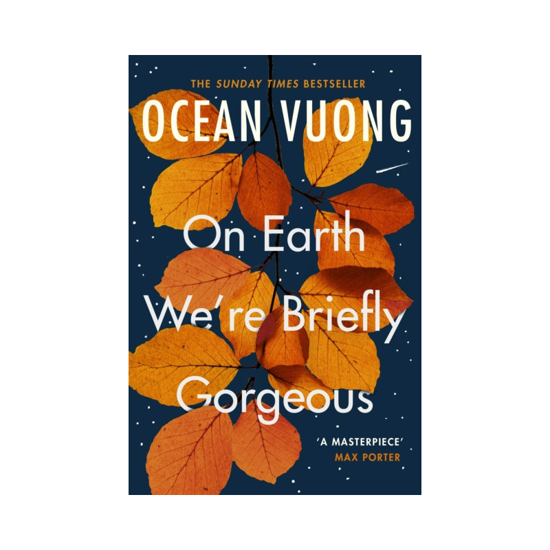 On Earth We're Briefly Gorgeous