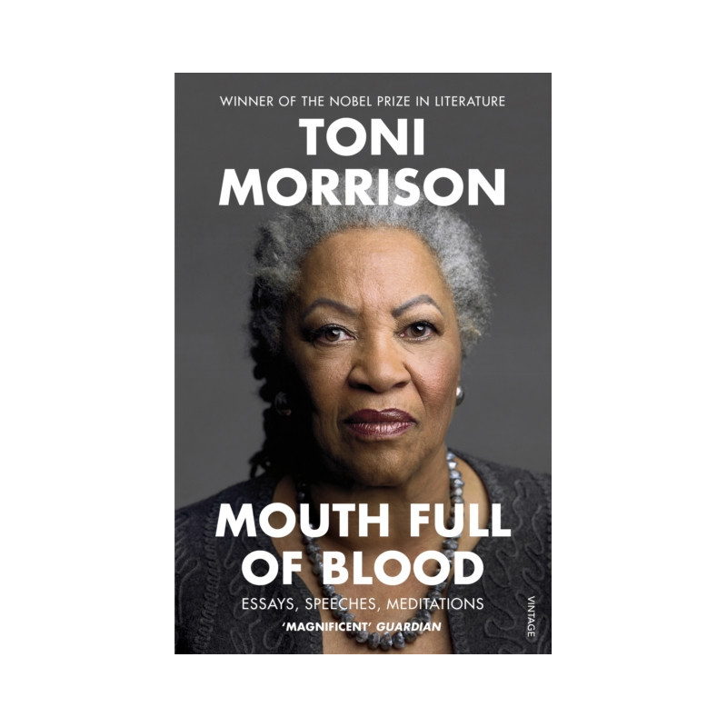 Mouth Full of Blood : Essays, Speeches, Meditations