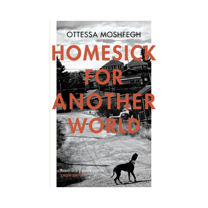 Homesick For Another World
