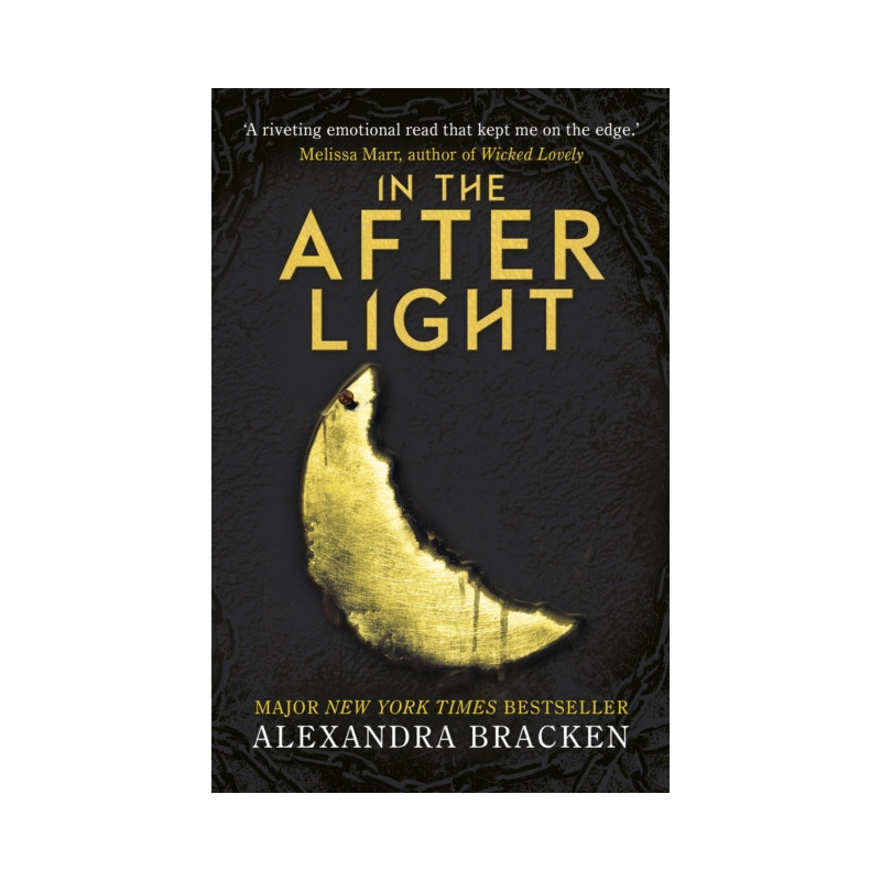 A Darkest Minds Novel: In the Afterlight : Book Three in the heart-stopping dystopian series