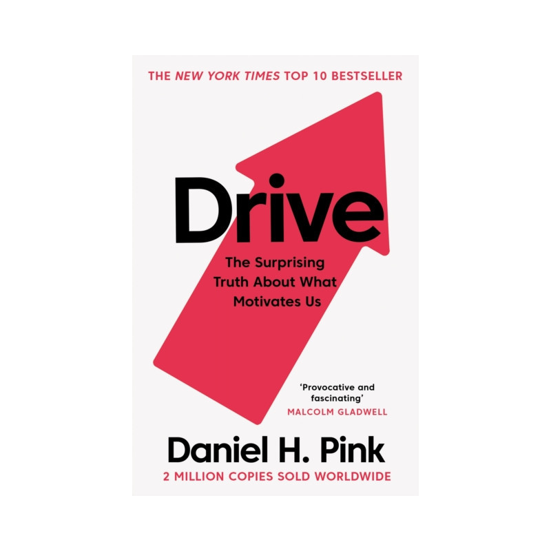 Drive : The Surprising Truth About What Motivates Us