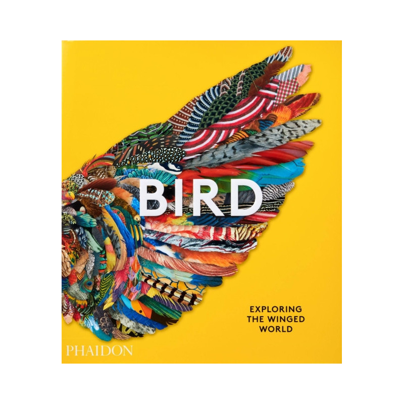 Bird : Exploring the Winged World Bird : Exploring the Winged World