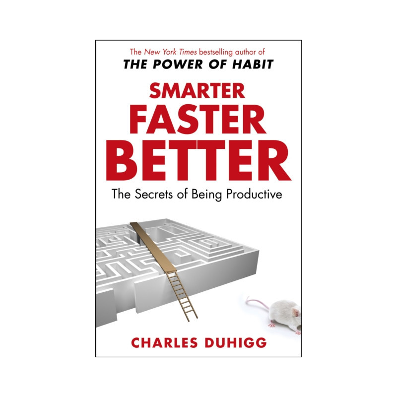 Smarter Faster Better : The Secrets of Being Productive