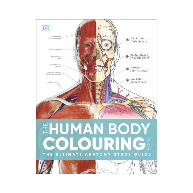 The Human Body Colouring Book The Ultimate Anatomy Study Guide
