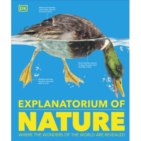 Explanatorium of Nature Where the Wonders of the World Are Revealed