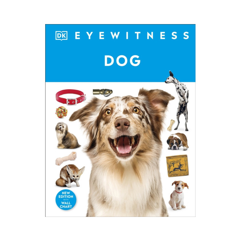 Eyewitness Dog Eyewitness Dog