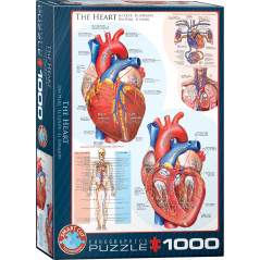 Eurographics The Heart 1000 Piece Puzzle
