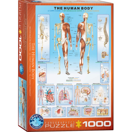 Eurographics The Human Body 1000 Piece Puzzle