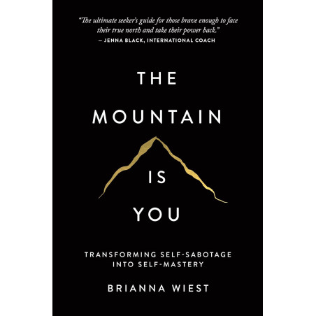 The Mountain Is You: Transforming Self-Sabotage Into Self-Mastery