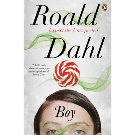 Boy : Tales of Childhood