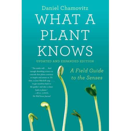 What a Plant Knows A Field Guide to the Senses: Updated and Expanded Edition