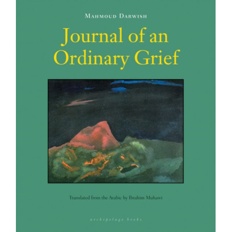 Journal of an Ordinary Grief