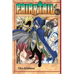 Fairy Tail 43