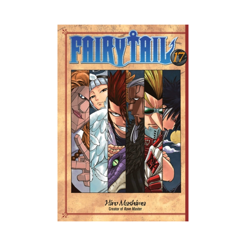 Fairy Tail 17