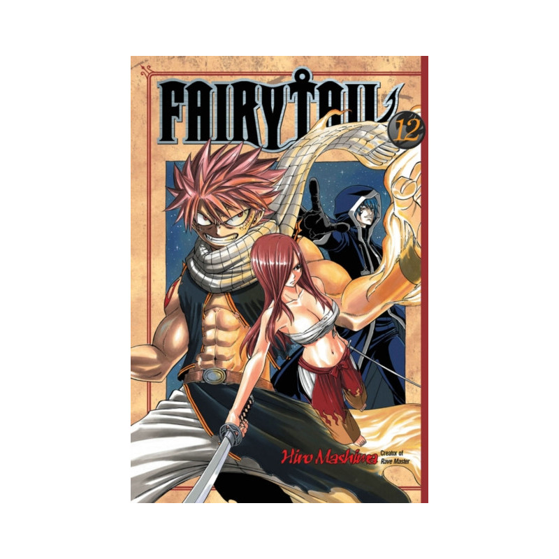 Fairy Tail 12