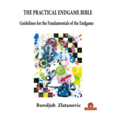 The Practical Endgame Bible : Guidelines for the Fundamentals of the Endgame