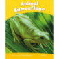 Level 6: Animal Camouflage CLIL