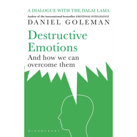 Destructive Emotions