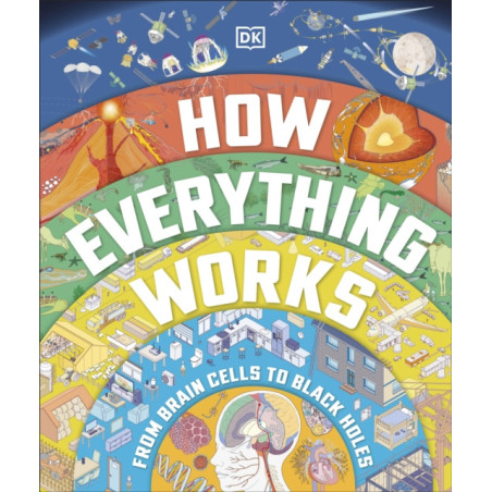 How Everything Works : From Brain Cells to Black Holes