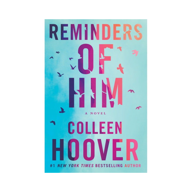 Reminders of Him : A Novel