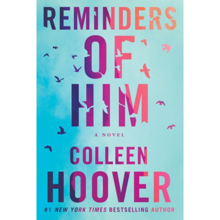 Reminders of Him : A Novel