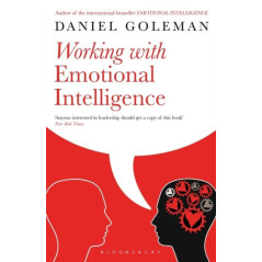 Working with Emotional Intelligence