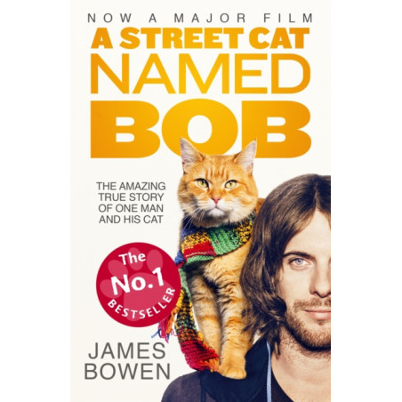 A Street Cat Named Bob : How one man and his cat found hope on the streets