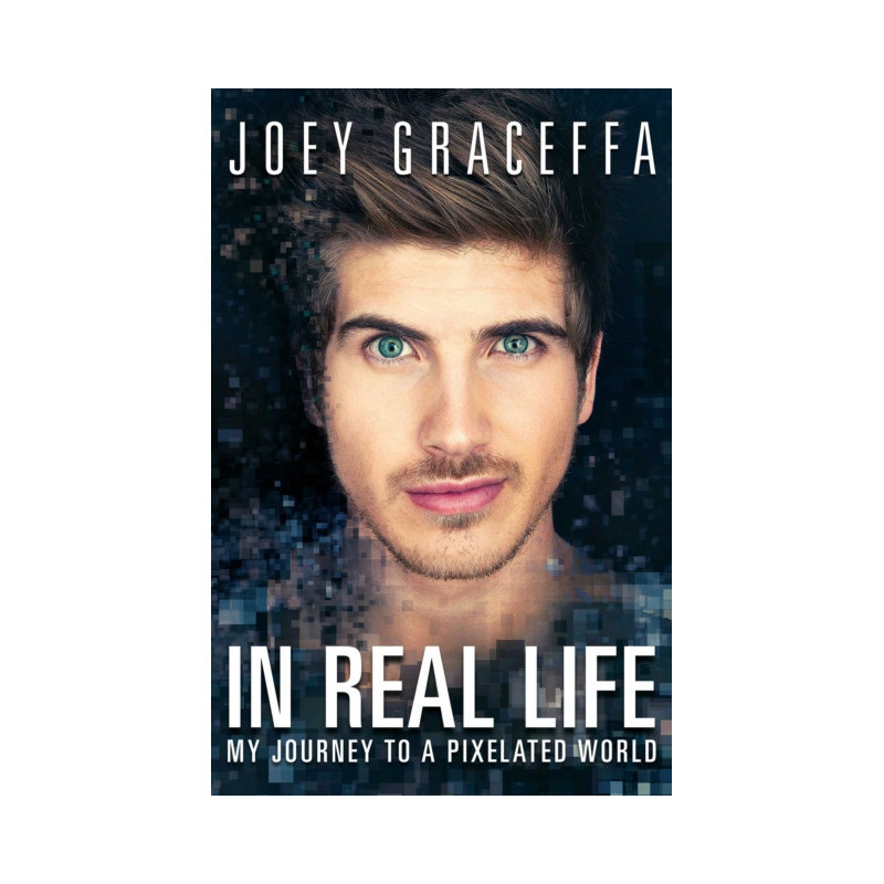 In Real Life : My Journey to a Pixelated World In Real Life : My Journey to a Pixelated World