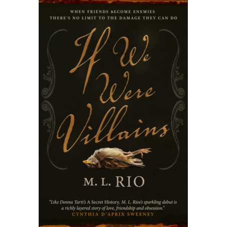 If We Were Villains