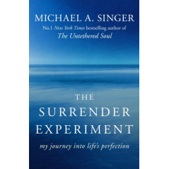 The Surrender Experiment : My Journey into Life's Perfection