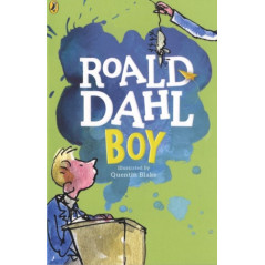 Boy : Tales of Childhood
