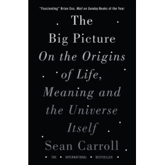 The Big Picture : On the Origins of Life, Meaning, and the Universe Itself