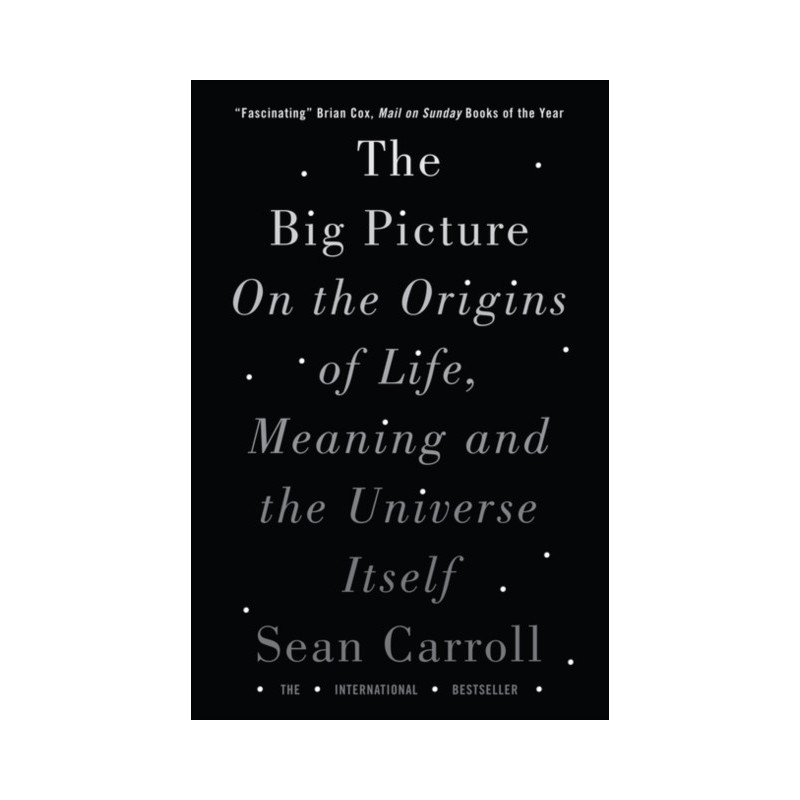 The Big Picture : On the Origins of Life, Meaning, and the Universe Itself