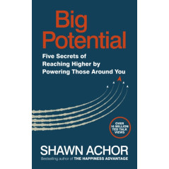 Big Potential : Five Secrets of Reaching Higher by Powering Those Around You