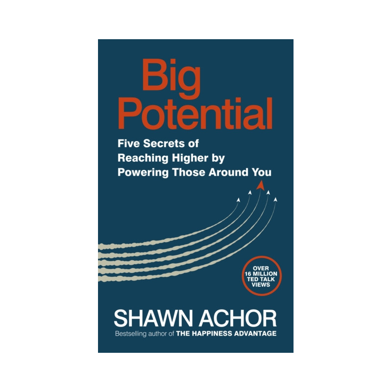 Big Potential : Five Secrets of Reaching Higher by Powering Those Around You Big Potential : Five Secrets of Reaching Higher by Powering Those Around You