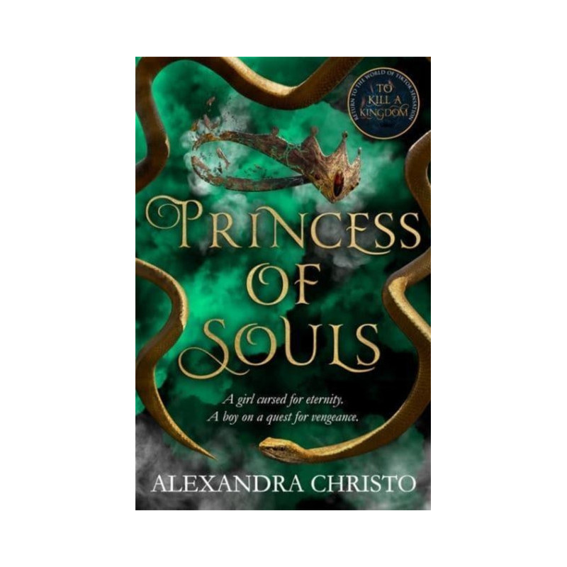 Princess of Souls : from the author of To Kill a Kingdom, the TikTok sensation!