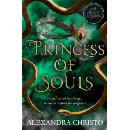 Princess of Souls : from the author of To Kill a Kingdom, the TikTok sensation!